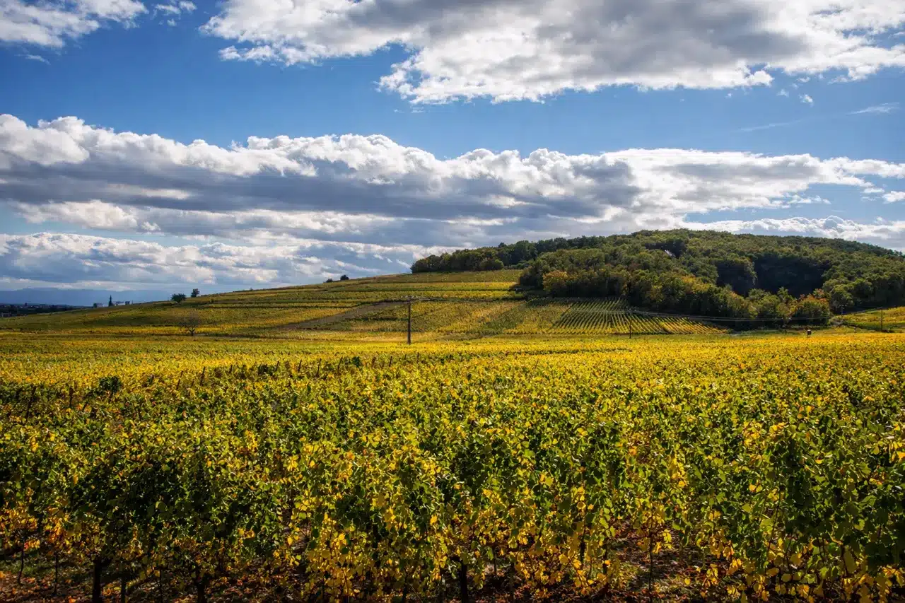 Photo Dorfbourg Dorfbourg