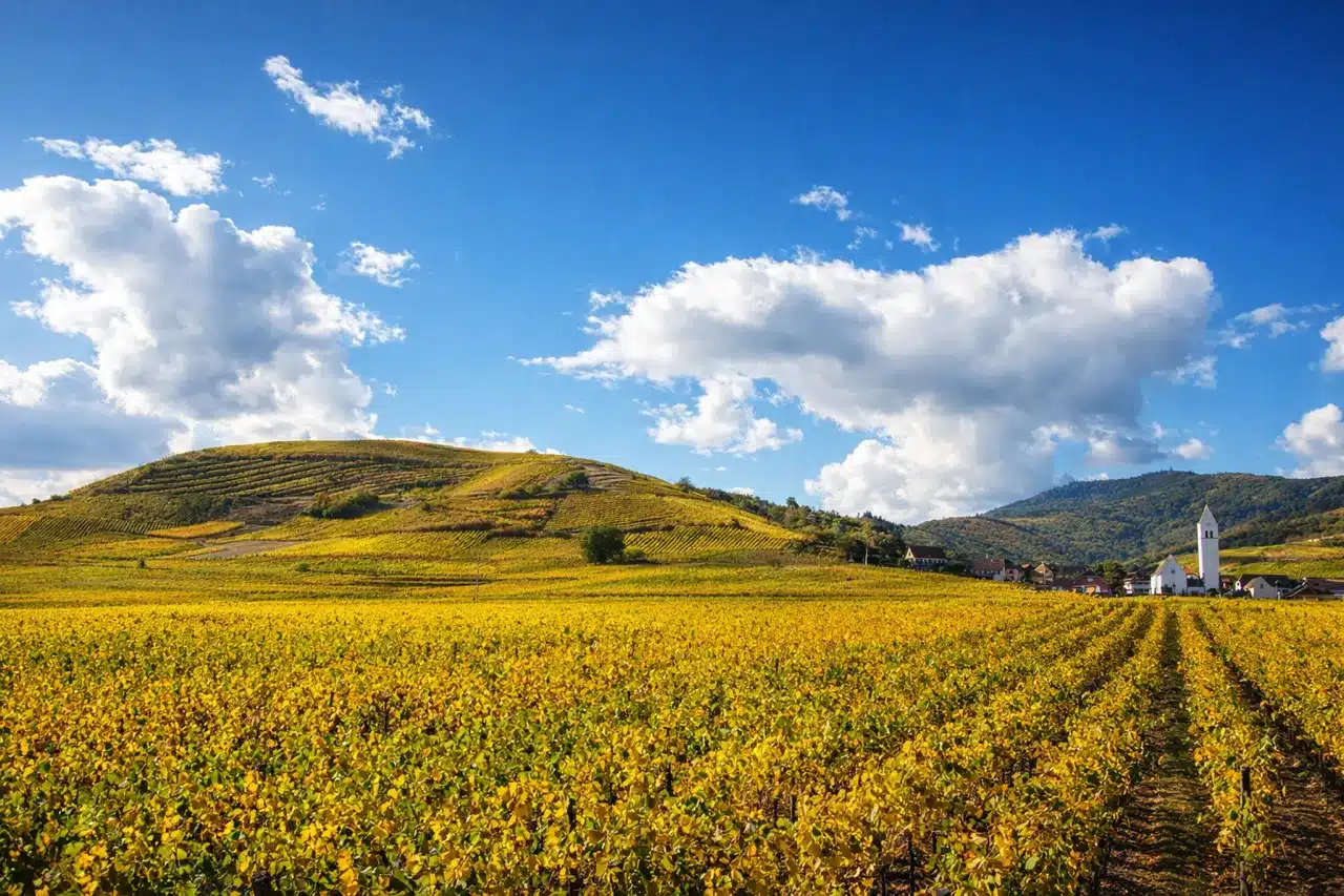 Photo Hinterbourg Hinterbourg